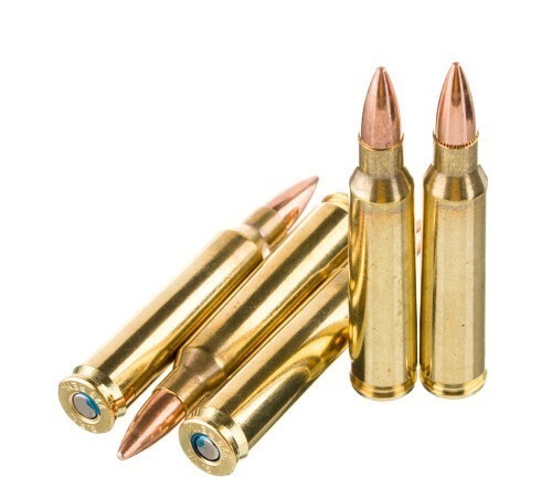 1000 Rounds of .223 Ammo by Federal American Eagle – 55gr FMJ