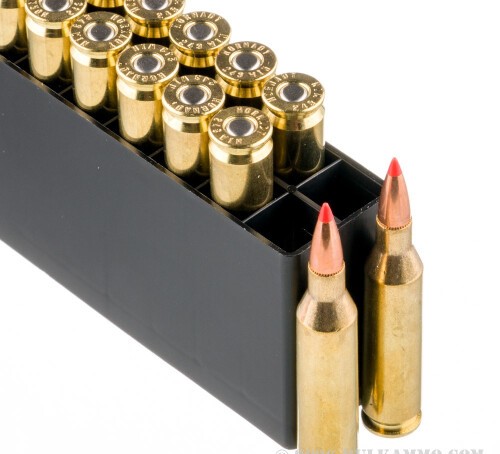 200 Rounds of .243 Win Ammo by Hornady Superformance – 95gr SST