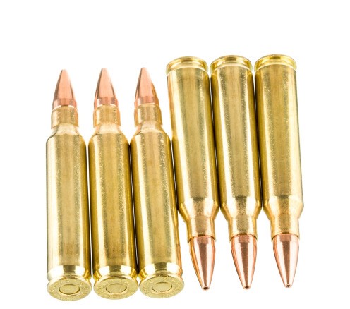 200 Rounds of 5.56×45 Ammo by Hornady Superformance – 55gr CX