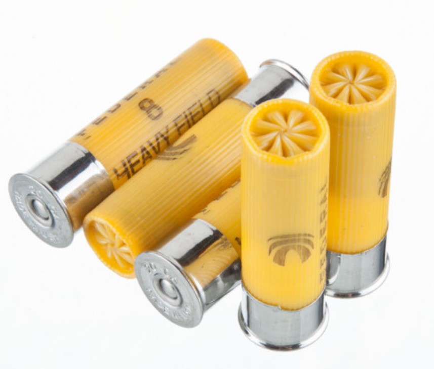 250 Rounds of 20ga Ammo by Federal Game-Shok 8 shot