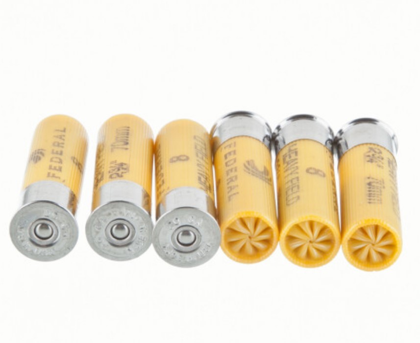 250 Rounds of 20ga Ammo by Federal Game-Shok 8 shot