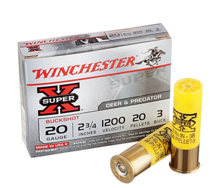 250 Rounds of 20ga Ammo by Winchester Super-X 3 Buck