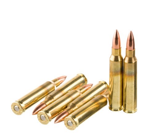 250 Rounds of 5.56×45 Ammo by American Quality Ammunition – 55gr FMJ