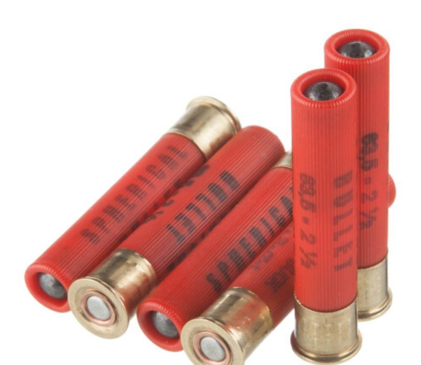 500 Rounds of .410 Ammo by Sellier & Bellot Buck