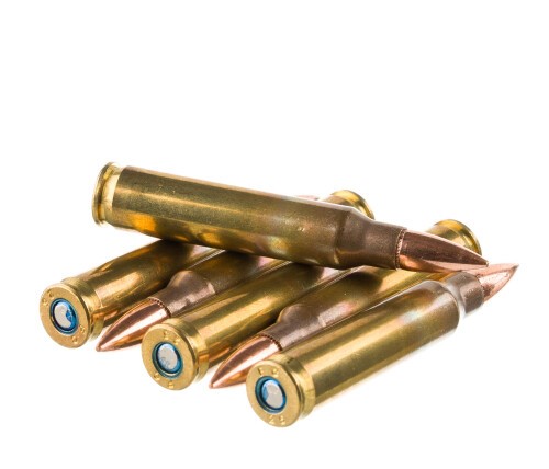 500 Rounds of 5.56×45 Ammo by Federal American Eagle – 55gr FMJ