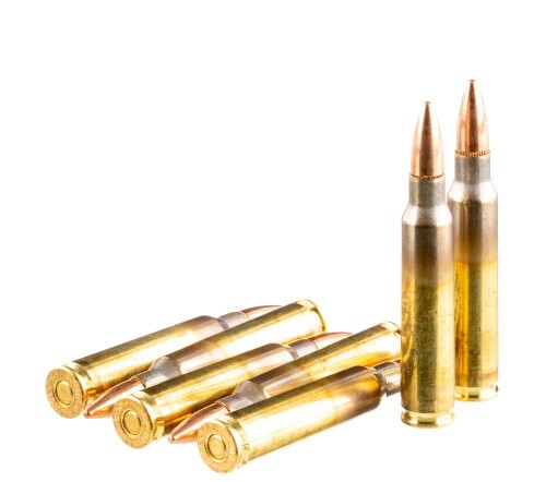600 Rounds of 5.56×45 Ammo by Winchester USA – 55gr FMJ