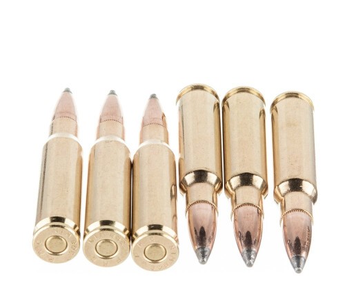 800 Rounds of .308 Win Ammo by PMC Bronze Hunting – 150gr SP